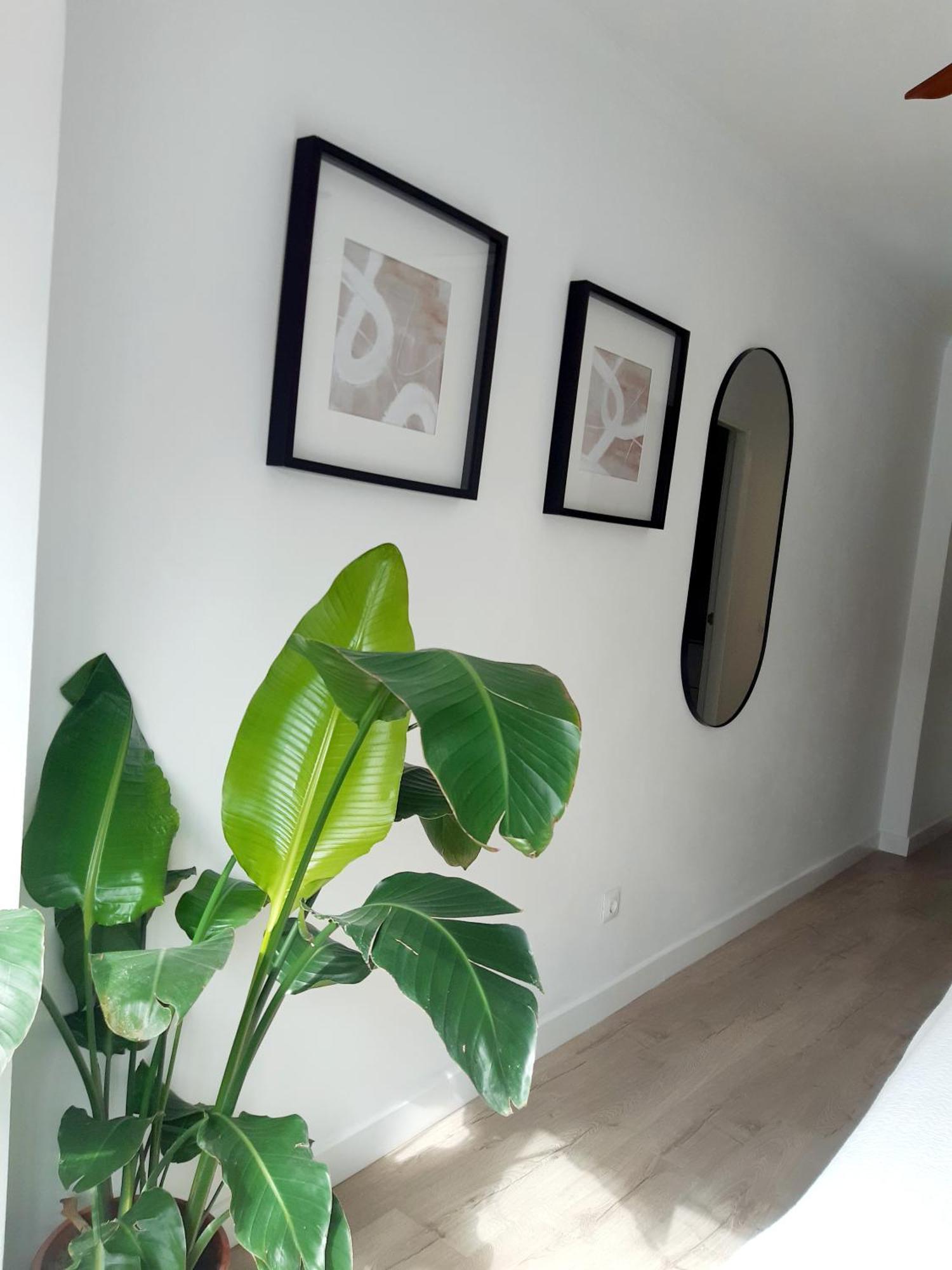 Impressive Apartment With 3 Bedrooms Metres From The Beach Estepona Dış mekan fotoğraf